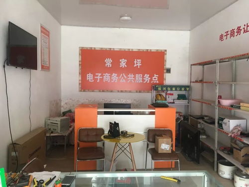 渭源縣電子商務公共服務中心2019年電子商務服務發(fā)展報告