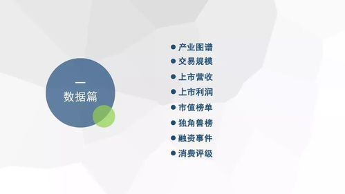 2018年度中國生活服務電商市場數(shù)據(jù)監(jiān)測報告發(fā)布 行業(yè)深度調整與高質量發(fā)展并存